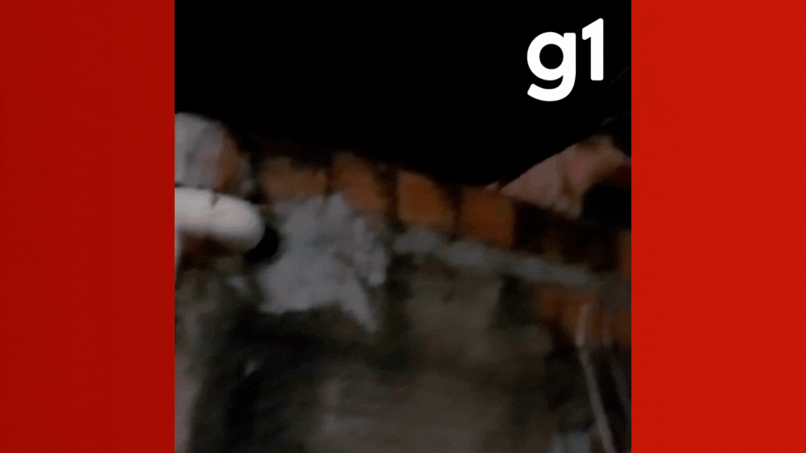 VÍDEO: pitbull é resgatado ao fugir de casa e subir em telhado de vizinho após tutor viajar em MT