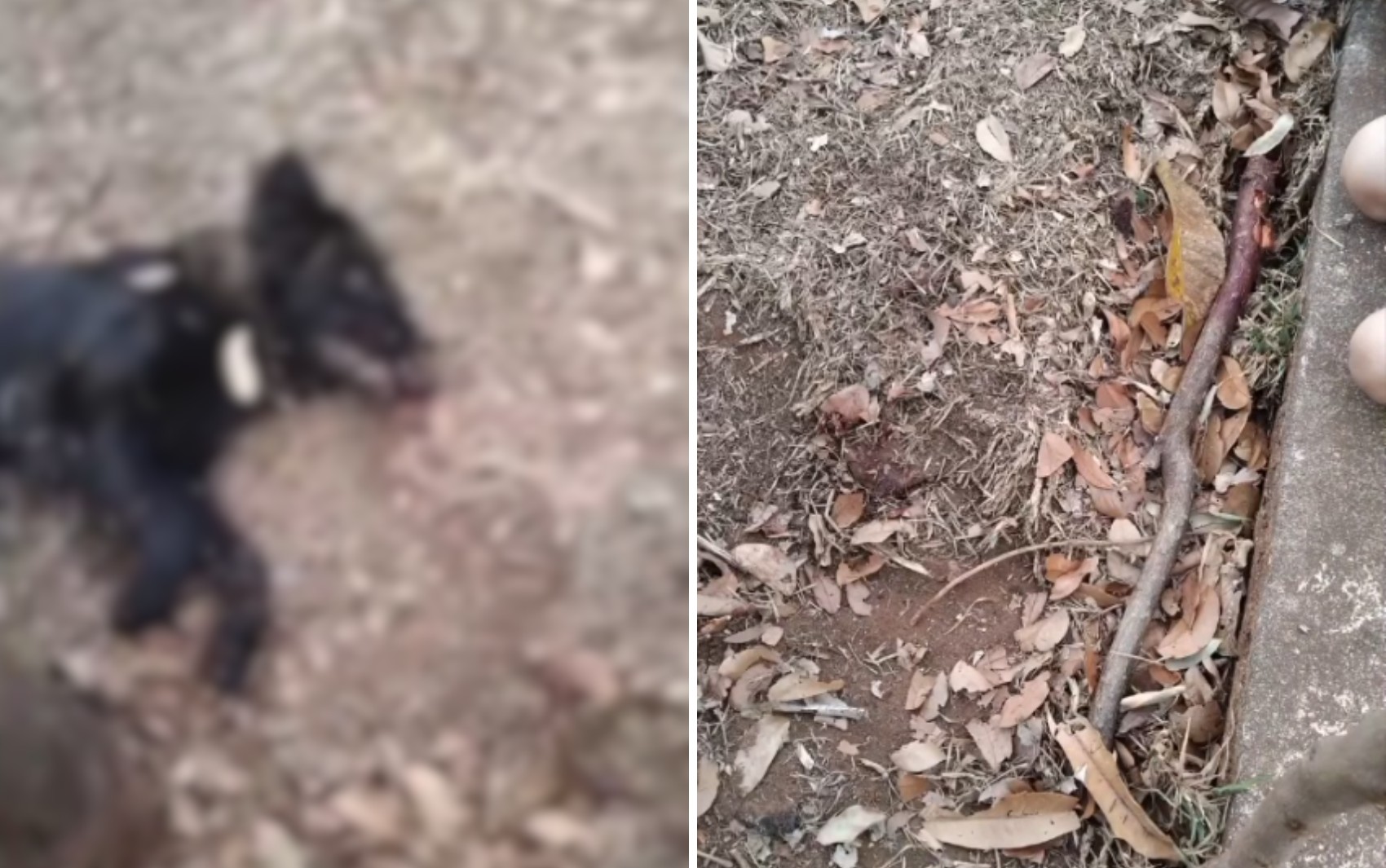 Você Não Tá Convidada pro Meu Bat Mitzvá!