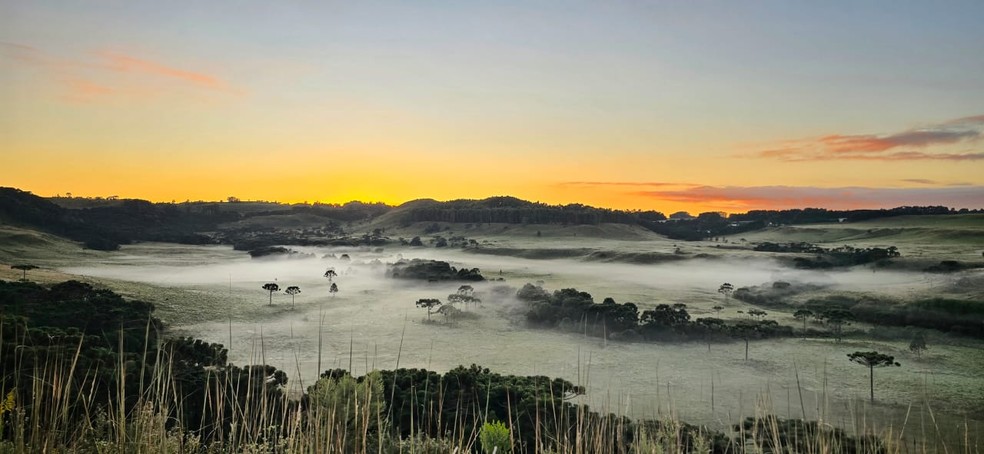 Geada em São Joaquim, Serra de SC, no verão — Foto: Mycchel Legnaghi/Arquivo pessoal