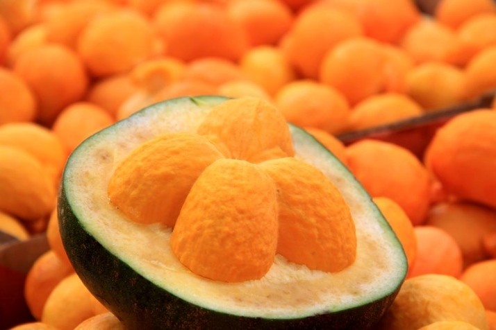 Festa Nacional do Pequi começa nesta sexta-feira em Montes Claros; veja a programação