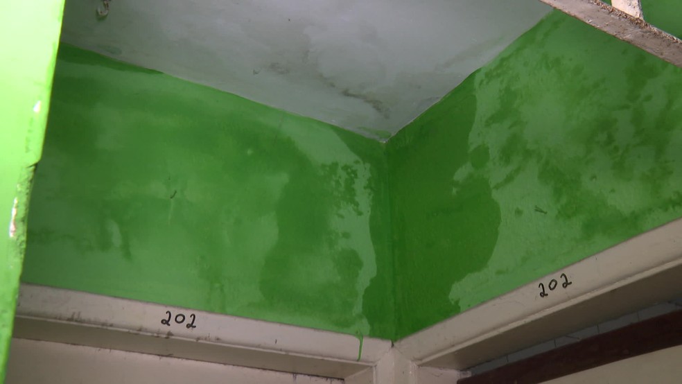 Infiltração em prédio em Olinda, na Grande Recife, que está ocupado, apesar do risco de desabamento. — Foto: Reprodução/TV Globo