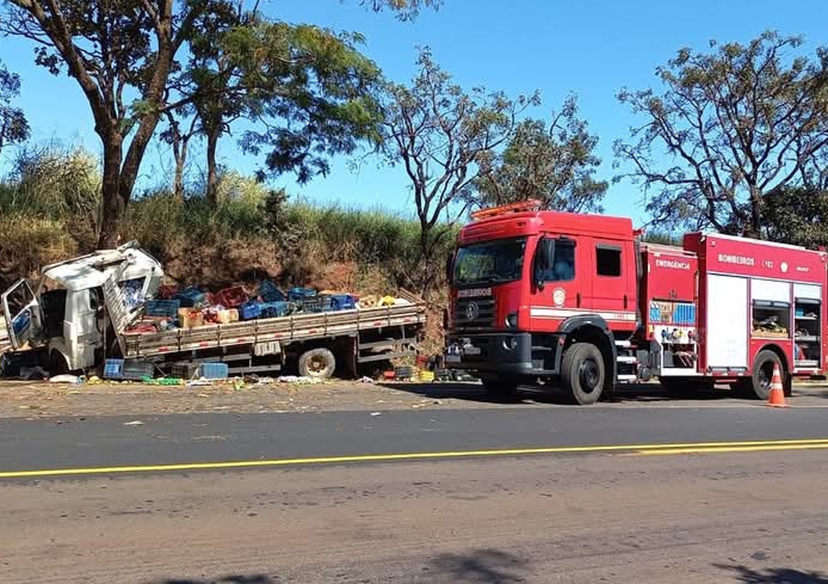 Pai e filho morrem em acidente com caminhão em rodovia próximo a Altinópolis, SP