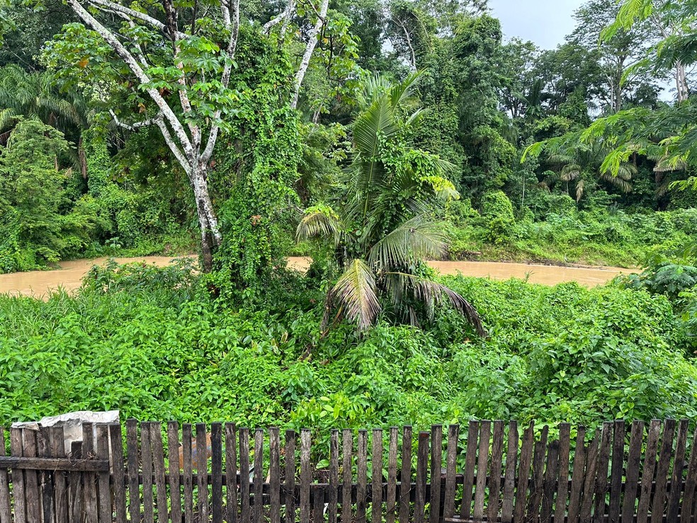 Igarapé São Francisco, em Rio Branco — Foto: Andryo Amaral/Rede Amazônica Acre