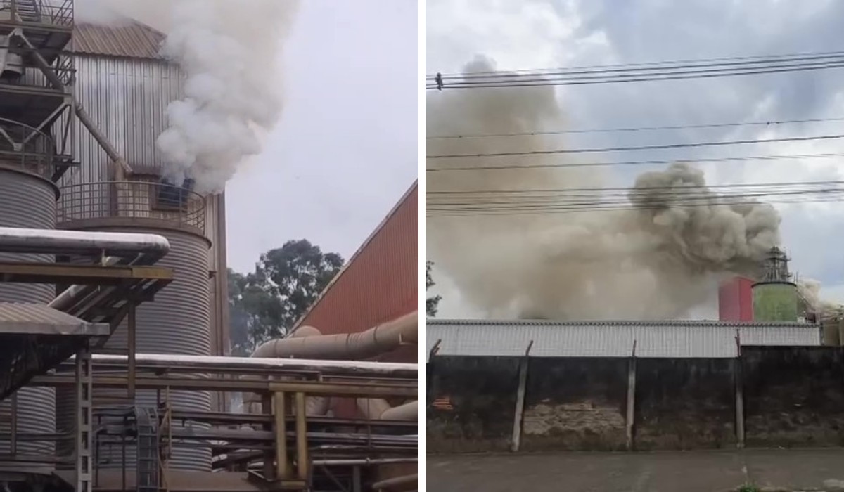 Incêndio atinge fábrica de ração em Campinas; ninguém se feriu