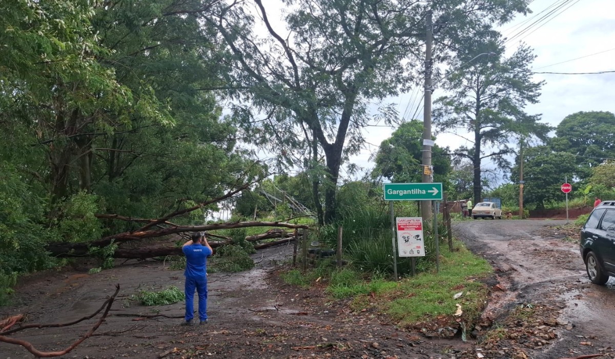 Chuva provoca alagamentos e quedas de árvores na região de Campinas