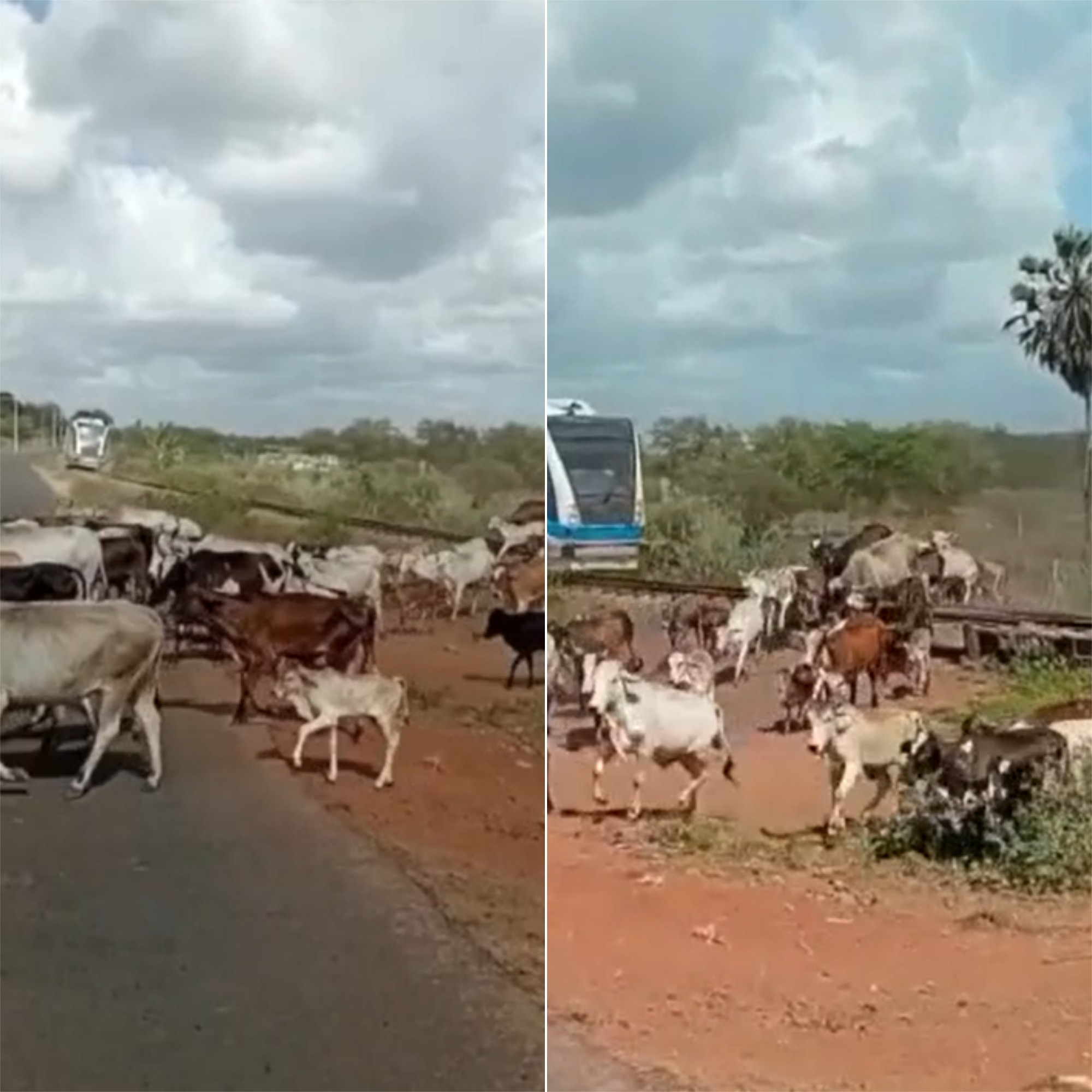 Você Não Tá Convidada pro Meu Bat Mitzvá!