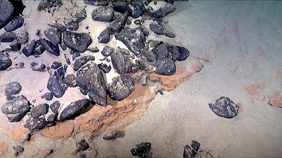 Imagens feitas com veículo não tripulado mostram cânion que corta Elevação do Rio Grande — Foto: Luigi Jovane/USP
