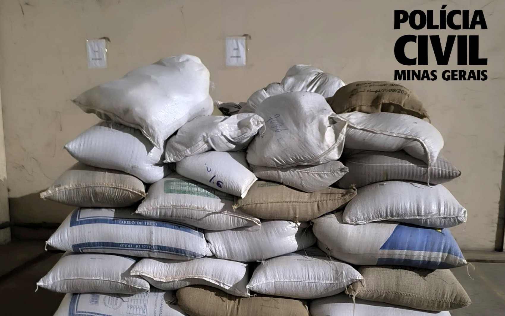 Sacas de café apreendidas durante operação da Polícia Civil estão avaliadas em mais de R$ 130 mil