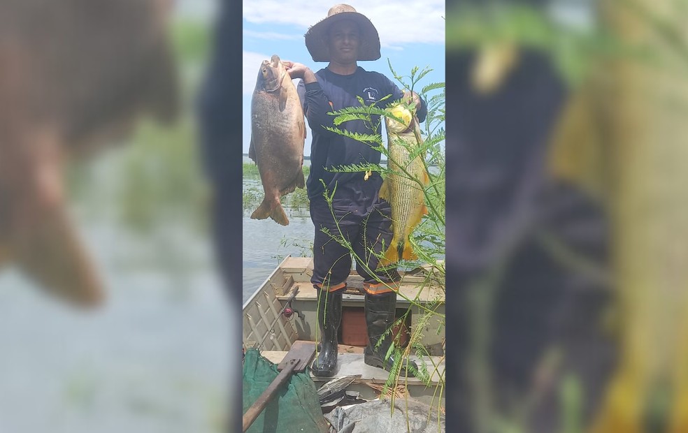 Pescador profissional flagrou onça-parda no Rio Tietê em Rio Preto (SP) — Foto: Leandro Silva Carvalho/Arquivo pessoal