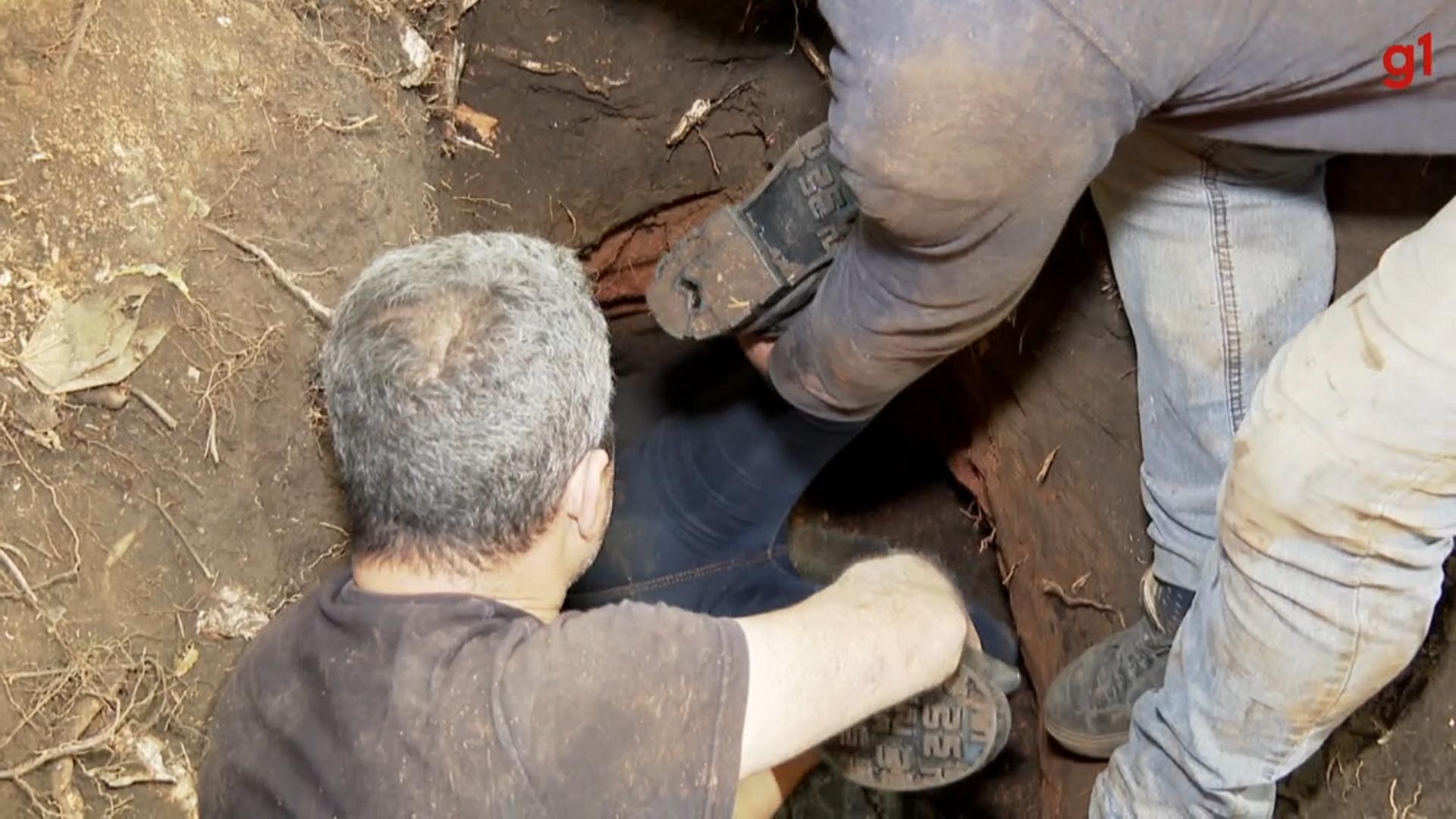 VÍDEO: segurada pelas pernas, voluntária retira filhote de cachorro de buraco em Curitiba