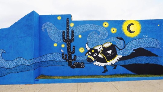 Projeto 'Arte em Cores' divulga lista de selecionados para produção de arte urbana no Maranhão - Foto: (Divulgação)