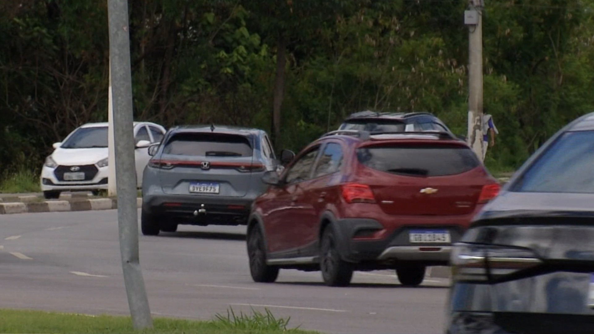 Projeto de nova avenida de Mogi das Cruzes é paralisado por falta de licenciamento ambiental