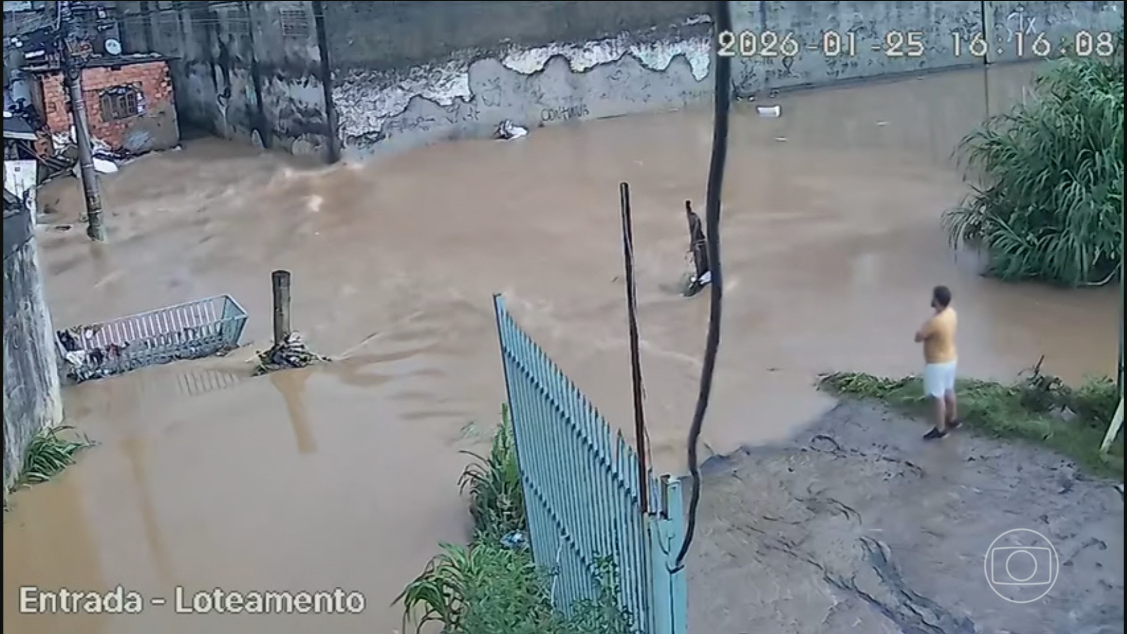 Chuva em SP: 13 pessoas morrem vítimas das enchentes, queda de árvores ou deslizamentos
