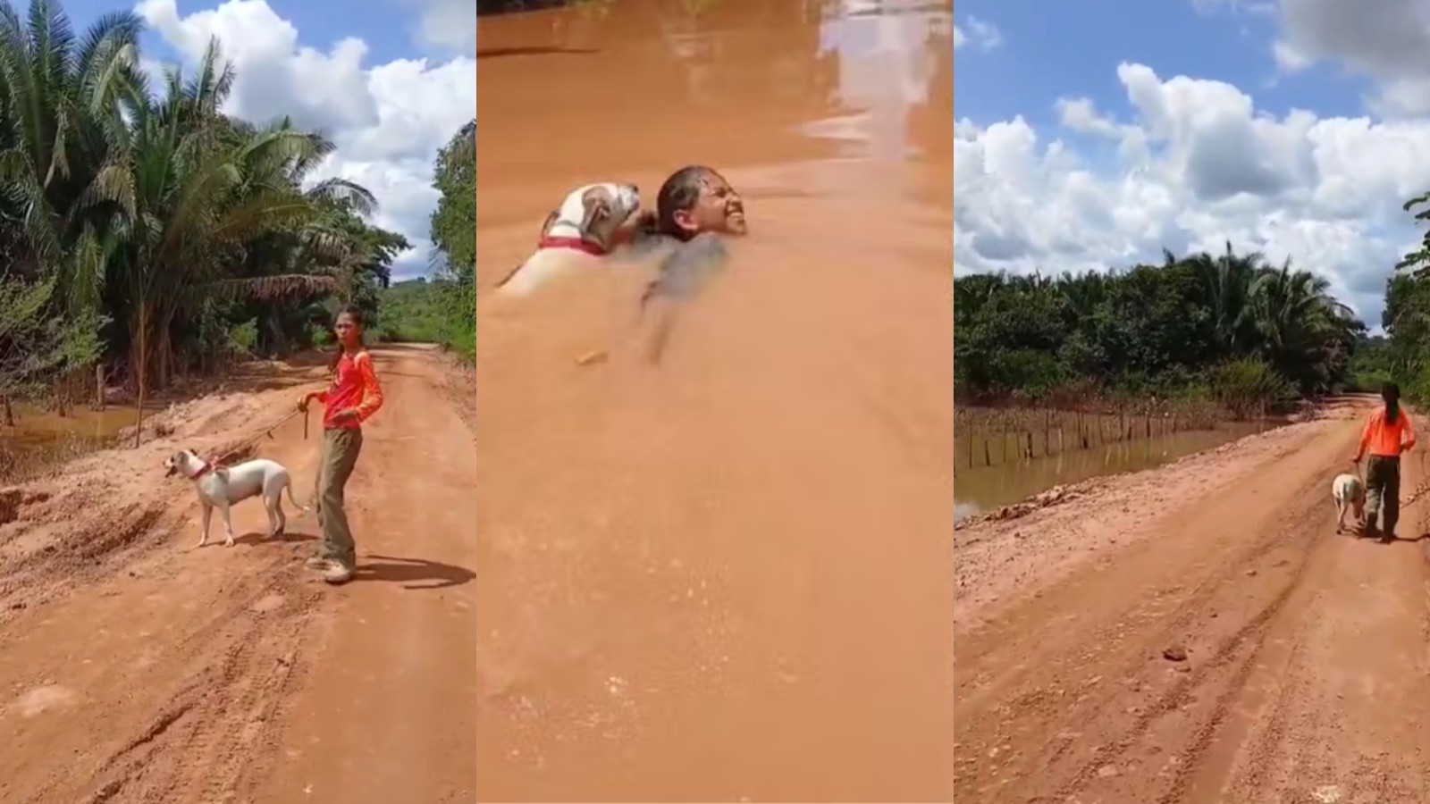 Menina que atravessou trecho alagado de 200 m com cadela mostra local uma semana após cheia