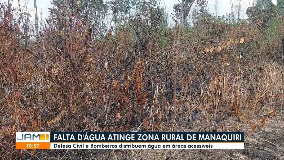 Seca: comunidades no interior do Amazonas sofrem com falta de água potável