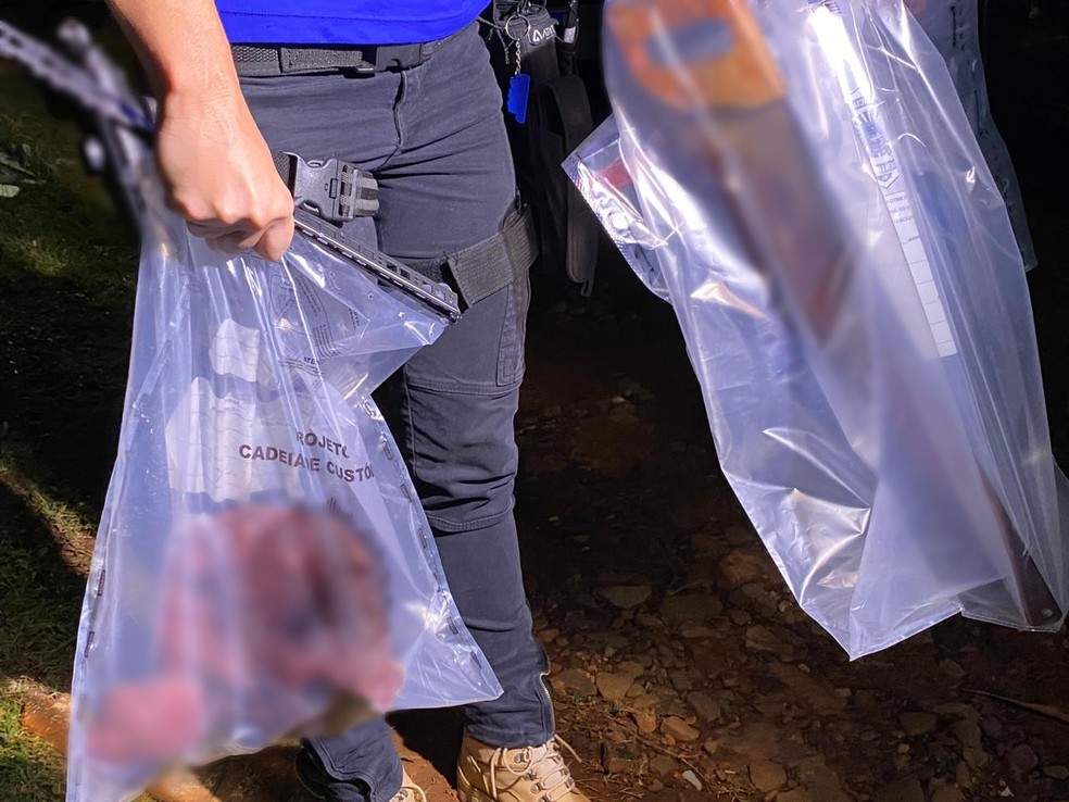 As armas usadas no crime foram apreendidas — Foto: DEAM/Divulgação