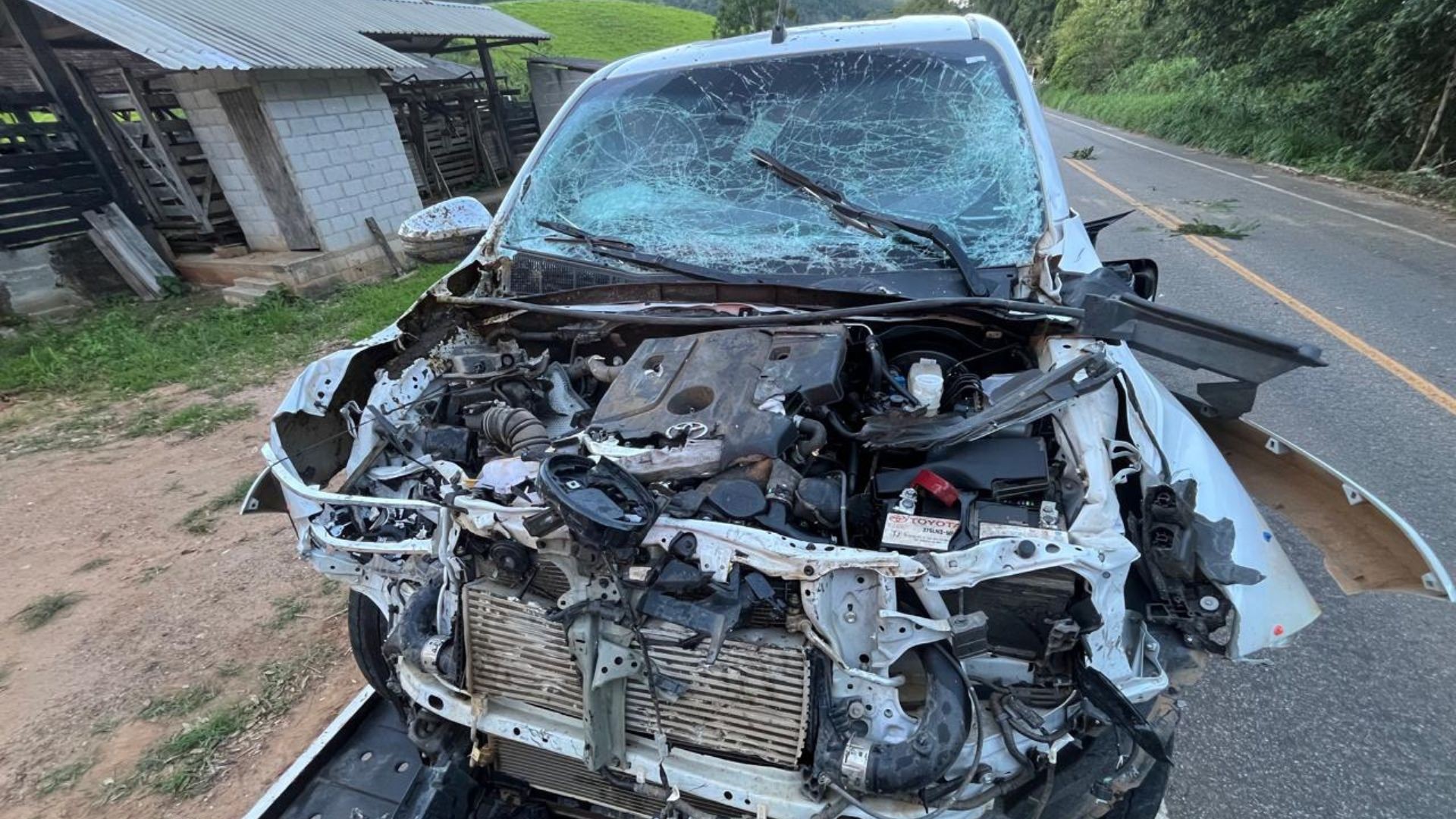 Grávida passa mal após Hilux bater e matar bois na BR-393, no ES