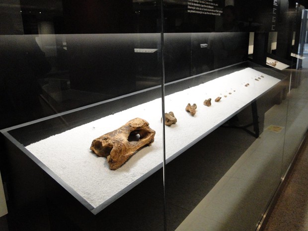 Brasil e Dinamarca disputam ossos pré-históricos encontrados em Minas Gerais; entenda 