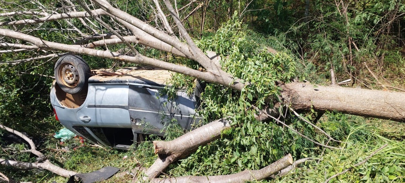 Cinco pessoas são levadas ao hospital após carro bater em árvore no Vale do Jequitinhonha