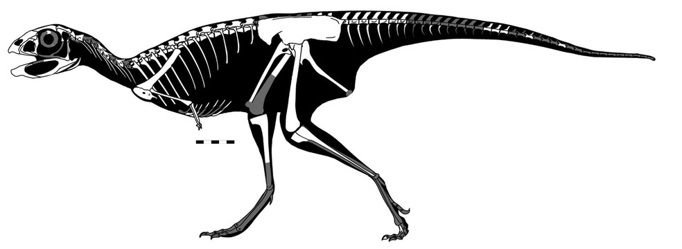 Novo dinossauro descoberto tem armadura de espinhos nunca antes vista -  TecMundo