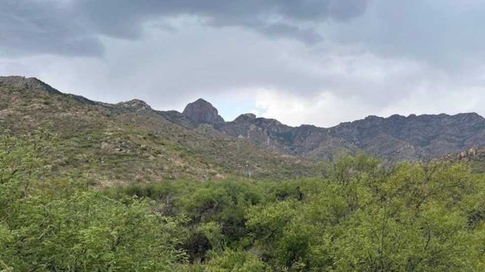 Cerro Picudo está localizado entre Altar Sonora, no México, e Tres Puntos, no Arizona — Foto: VALENTINA OROPEZA / BBC NEWS MUNDO