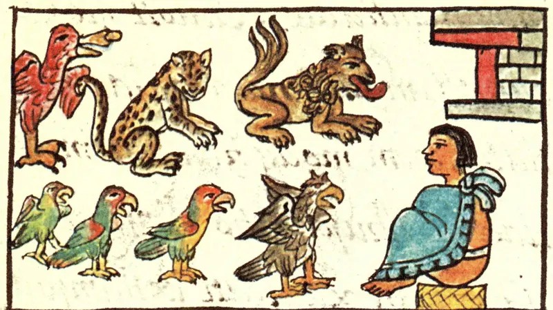 O zoológico de Montezuma que surpreendeu os espanhóis há 500 anos — e que só agora começamos a entender