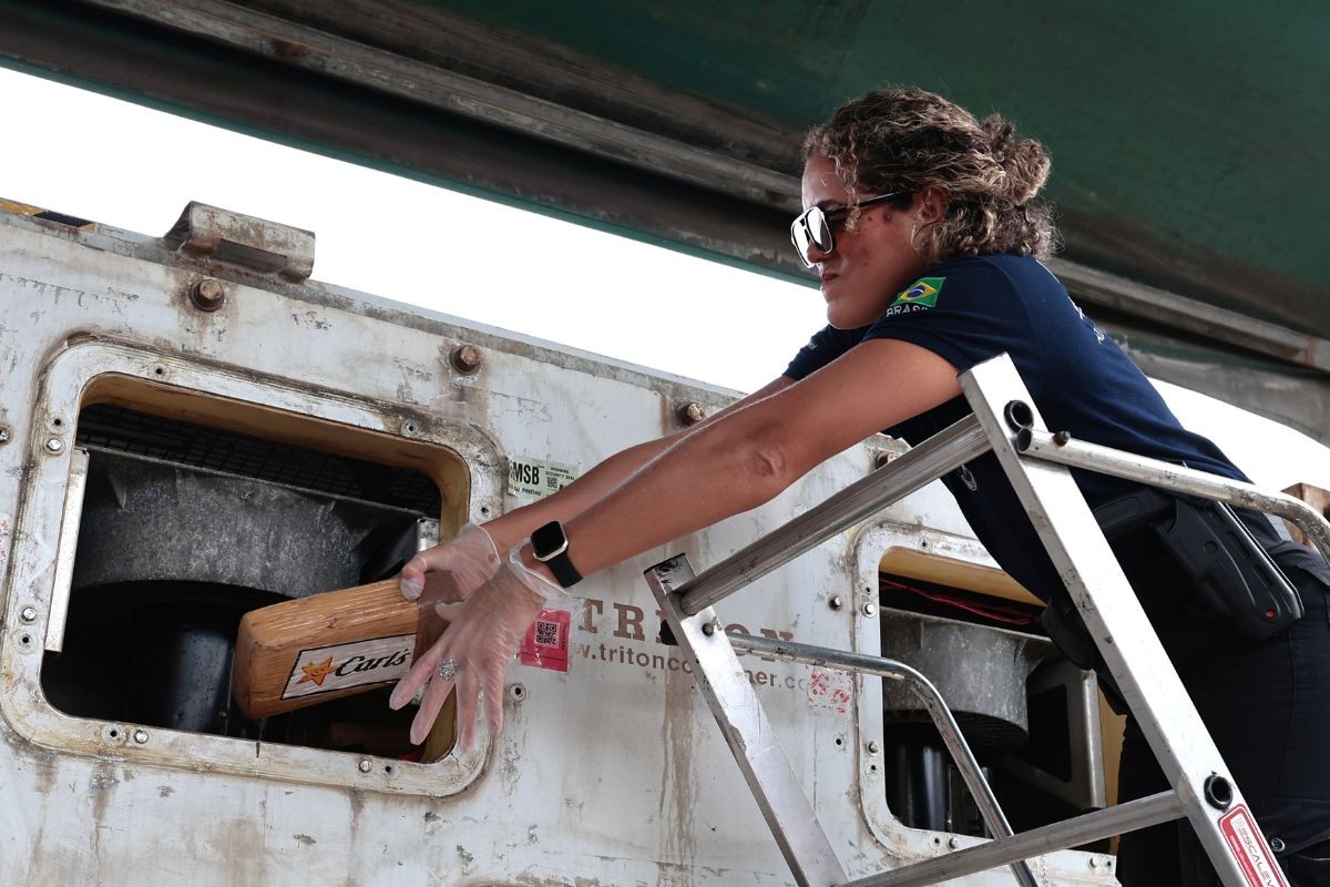Cães farejadores encontram 62 kg de cocaína escondidas em contêiner no Porto de Santos, SP