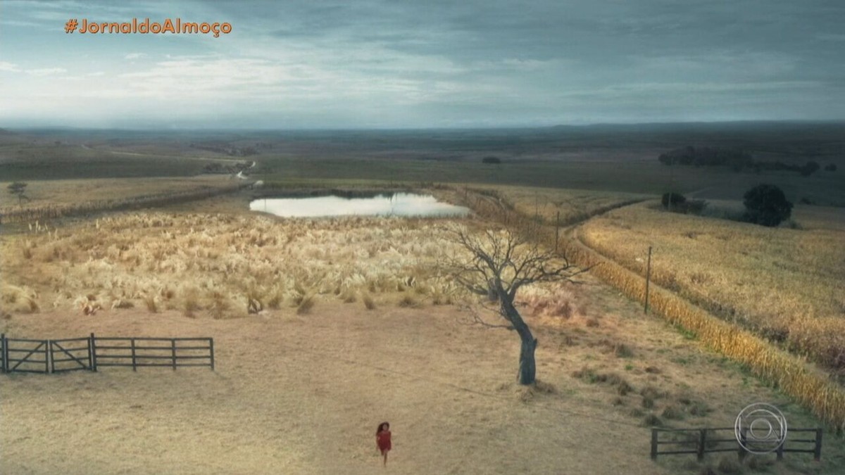 moinho de vento dentro a campo, às pôr do sol, pampas, Argentina