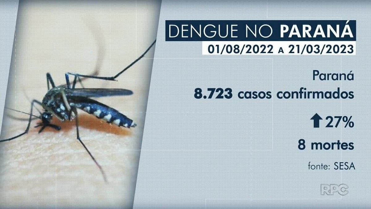 Casos De Dengue Disparam No Paraná Veja Como Combater O Mosquito Paraná G1 