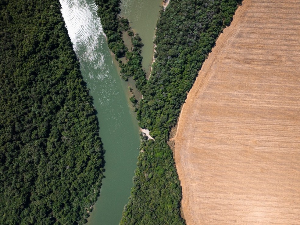 Mostra “Amazônia: Memórias para o Futuro” reúne 50 anos de cinema sobre a floresta e antecipa debates da COP 30 — Foto: Agência Pará