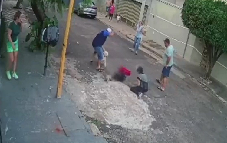 Pit bull solto na rua ataca idosa e cão de estimação durante passeio em Bauru; vídeo