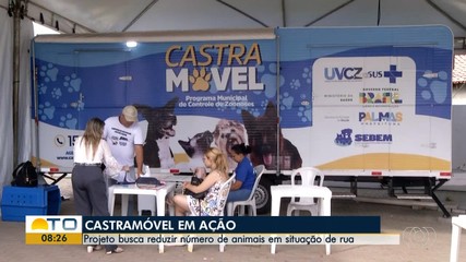 Projeto facilita castração de cães por meio de unidade móvel