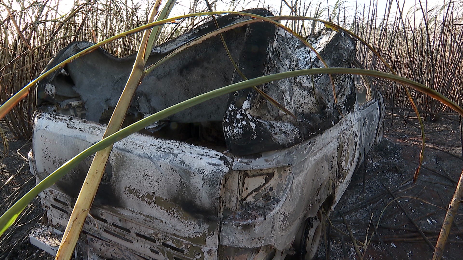 Carro furtado e incendiado pode ter motivado fogo em canavial que causou pânico em moradores de Ribeirão Preto