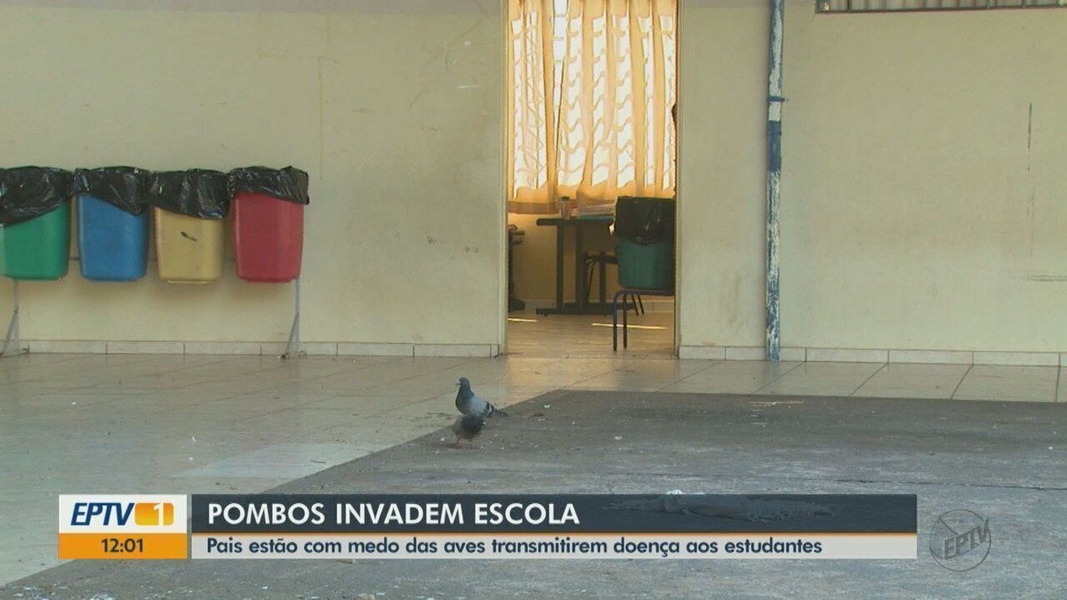Alunos passam mal após suposta infestação de piolho de pombo em escola de  Goiânia