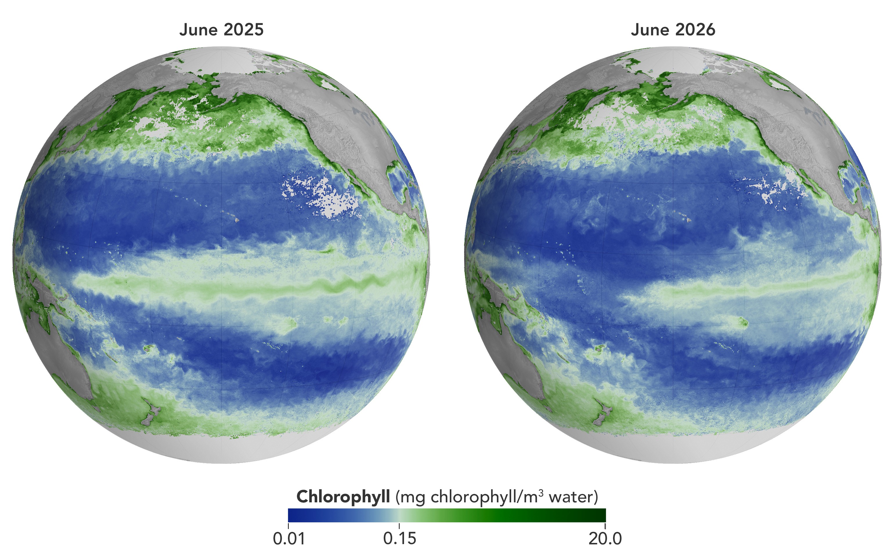 ANTES E DEPOIS: veja como o El Niño já afetou a vida marinha no Pacífico, em imagens de satélite