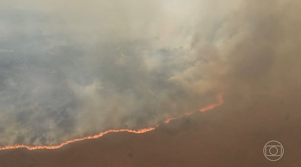 Incêndio atinge a Ilha do Bananal (TO) — Foto: Reprodução/Jornal Nacional