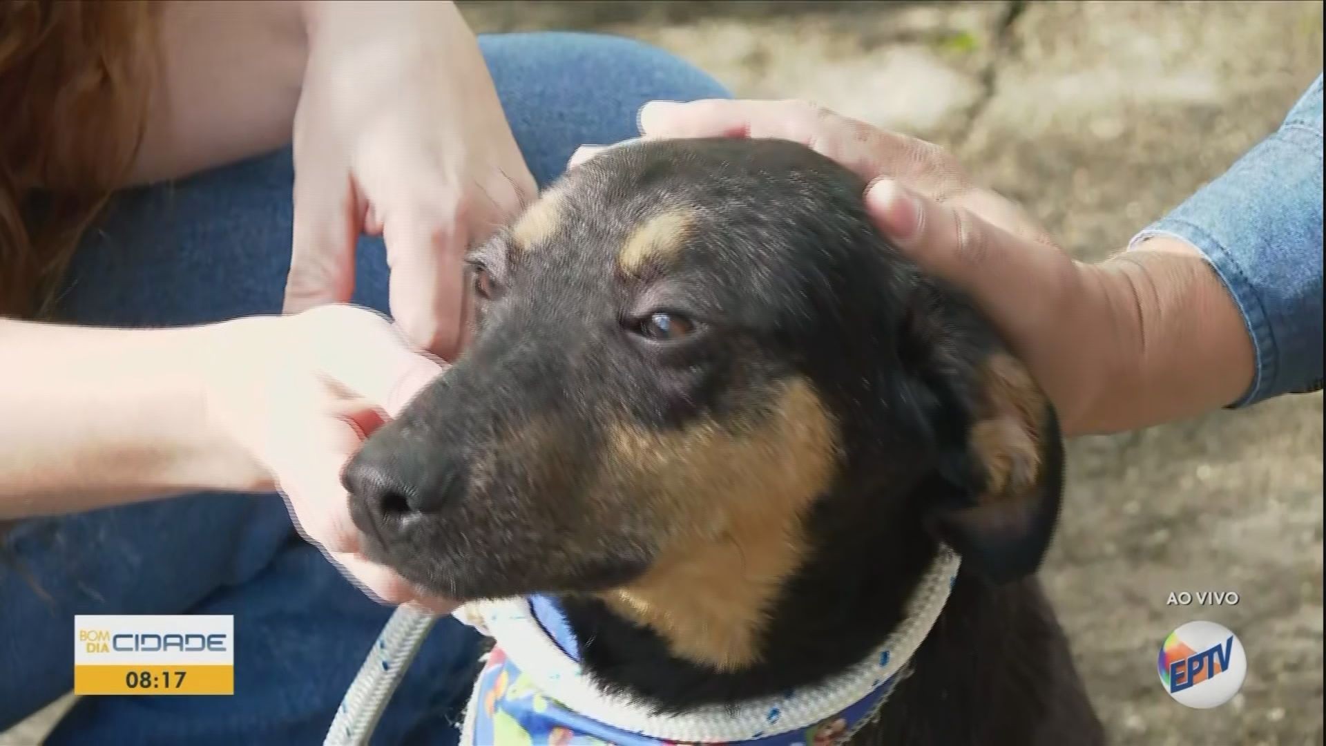 VÍDEOS: Bom Dia Cidade Sul de Minas de sexta-feira, 27 de março de 2026