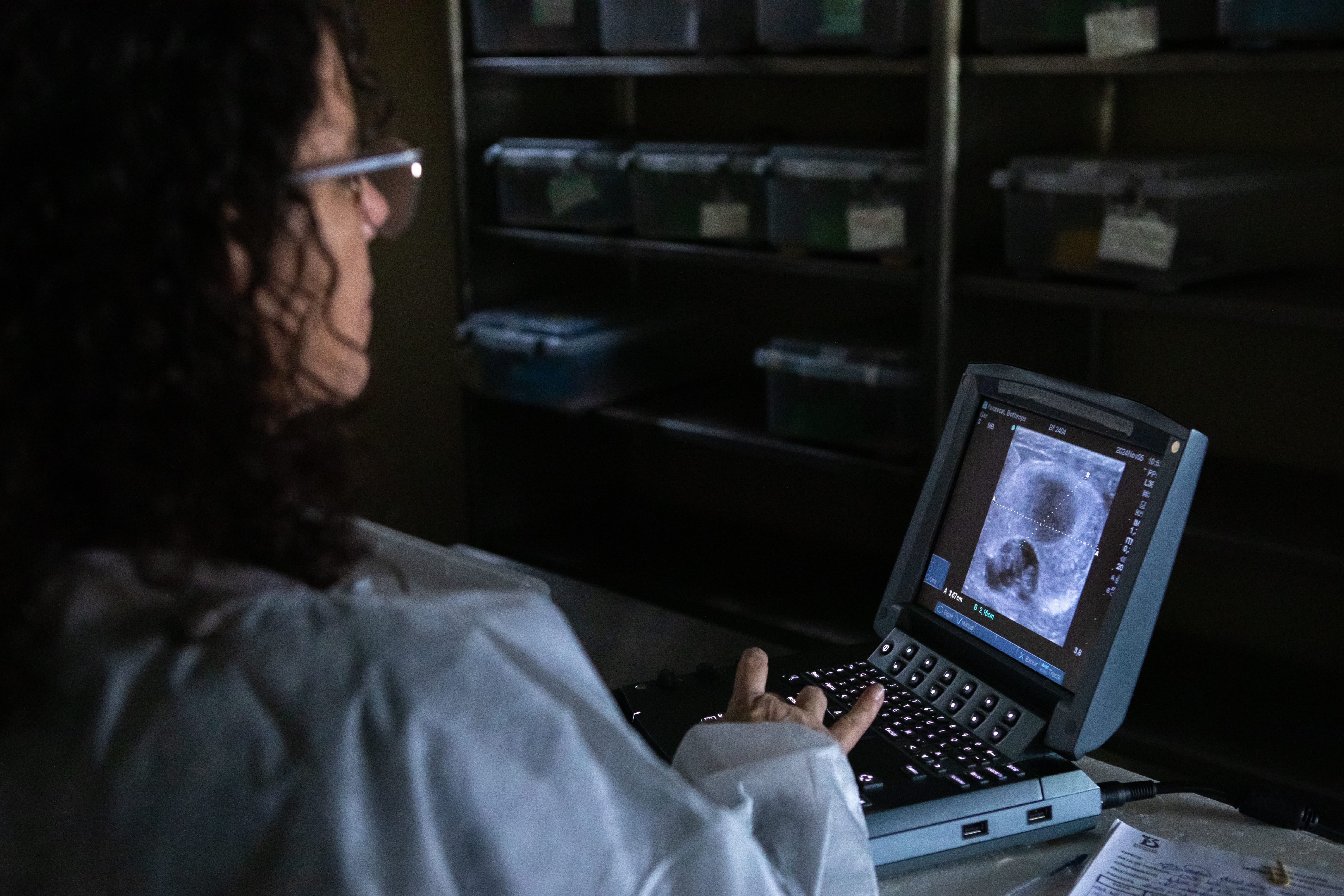Ultrassom em serpentes: a tecnologia médica que ajuda a conservar espécies