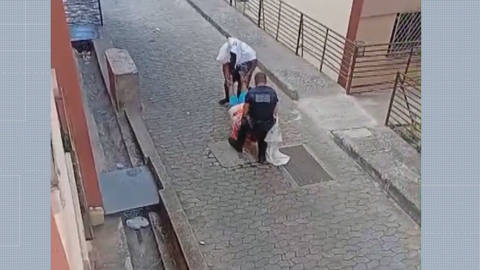 Ataque de abelhas deixa feridos em Belo Horizonte; vídeo mostra resgate de idosa