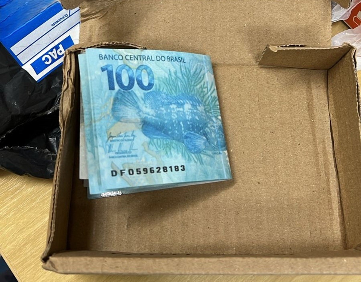 SC retira 4,8 mil notas falsas de circulação em 2025; saiba como identificar cédulas 