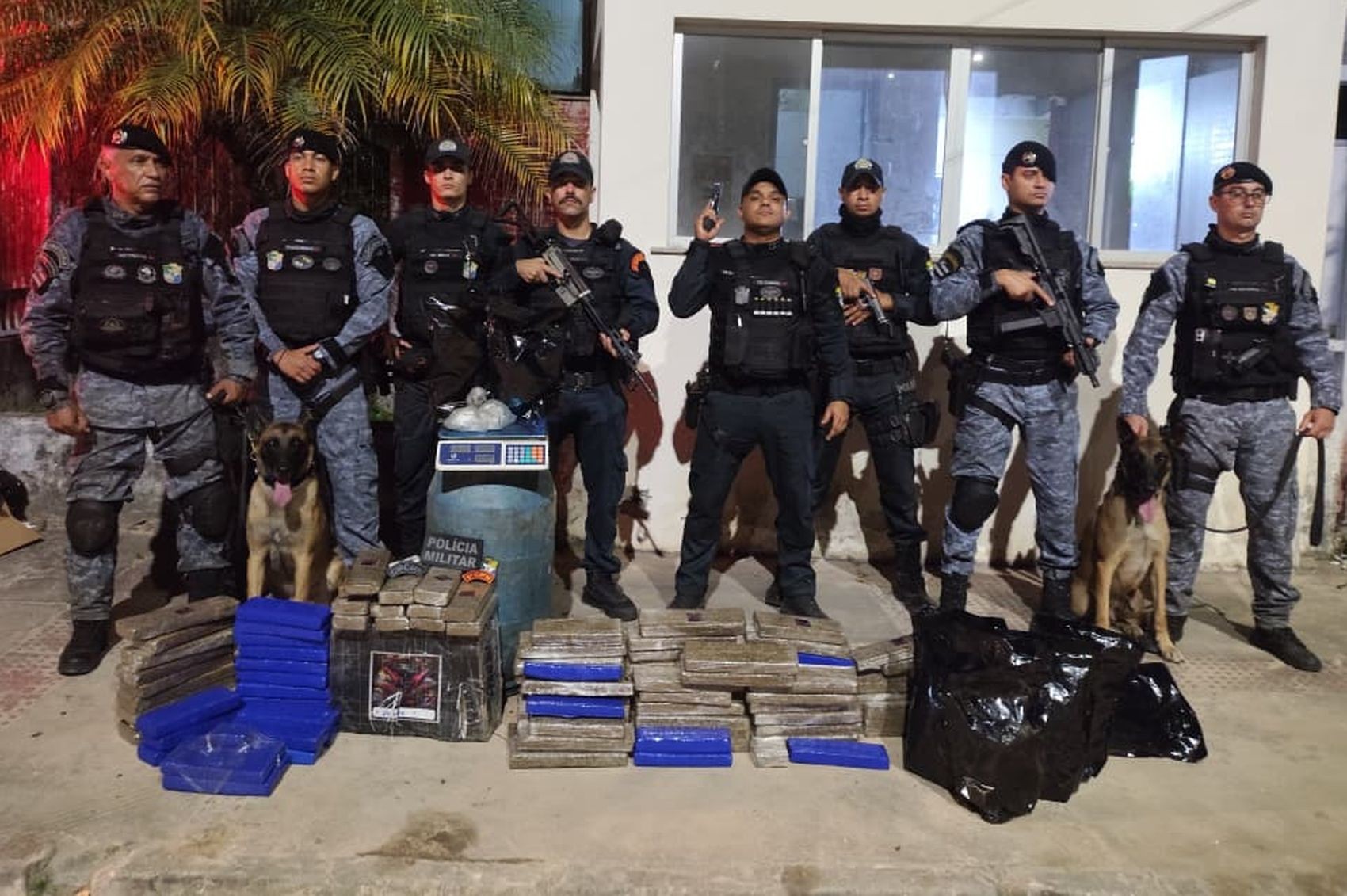 Após denúncia, cerca de cem quilos de maconha são apreendidos em Laranjeiras