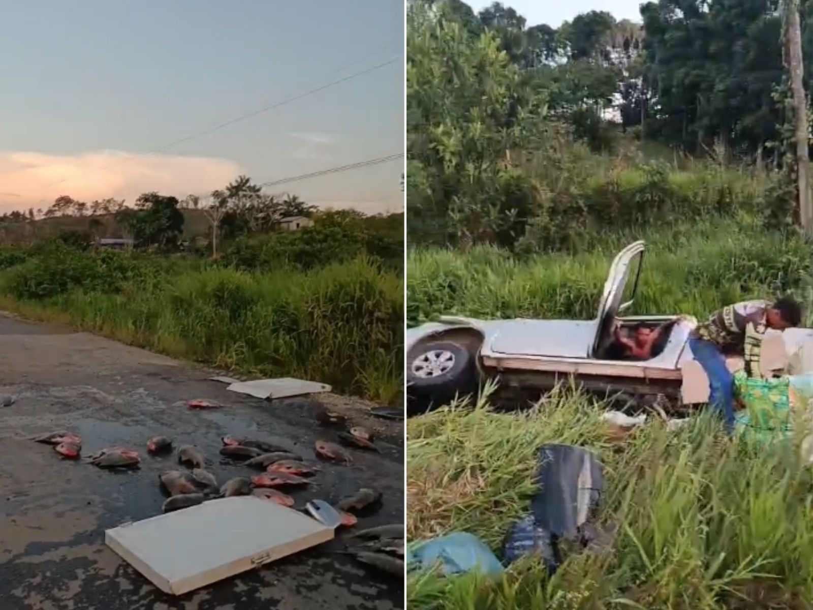VÍDEO: Caminhonete capota na BR-364 e carregamento de peixes se espalha na via