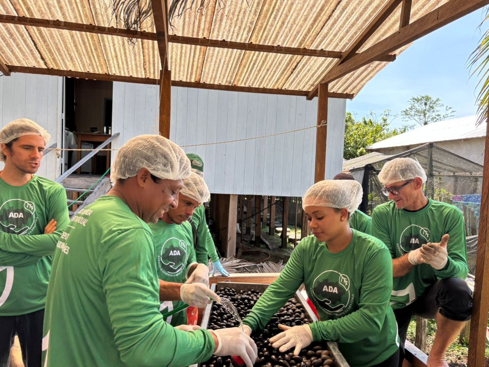 Projeto desidrata frutas amazônicas e gera renda para famílias no AC: 'Sustentável e regenerativo'