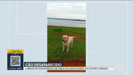 VÍDEOS: Bom Dia DF de quinta-feira, 8 de outubro de 2026 - imagem 3