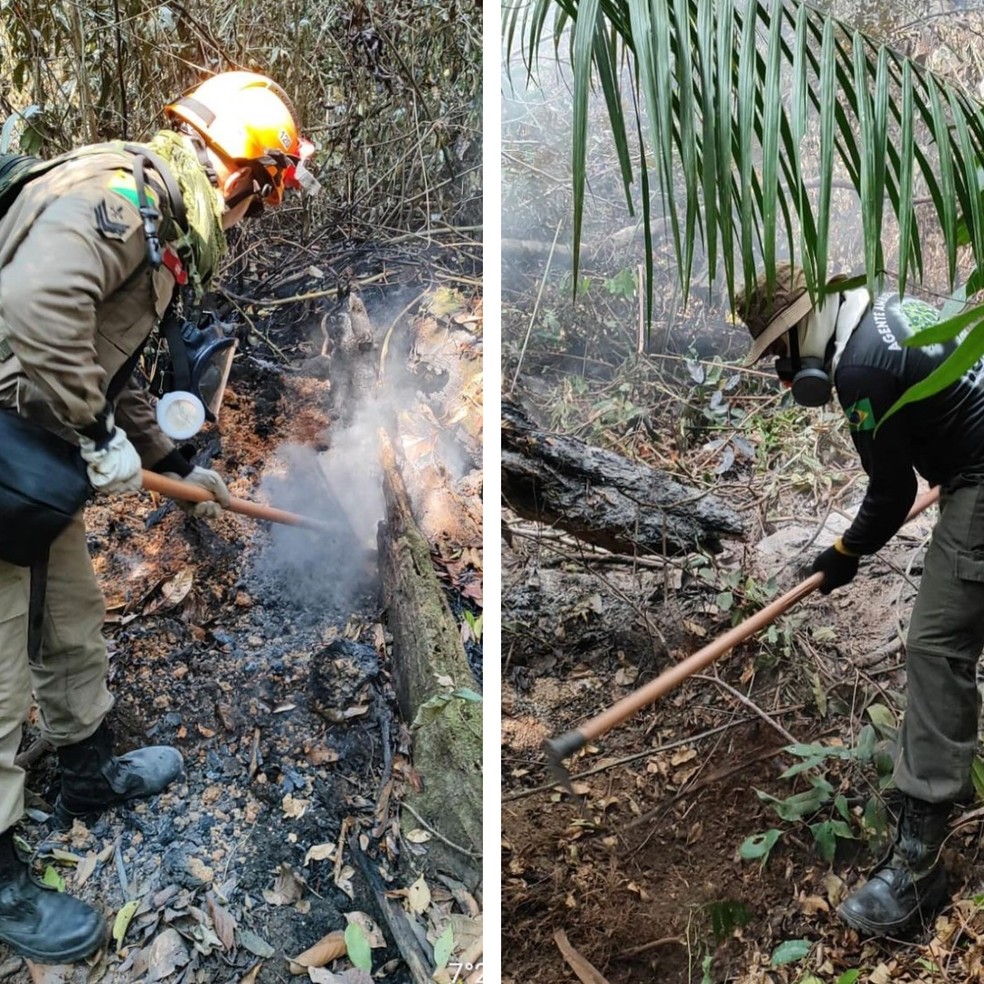 Incêndio destruiu 10 hectares de floresta na Comunidade Novo Recreio, da terra indígena Nawa — Foto: Reprodução/CBMAC