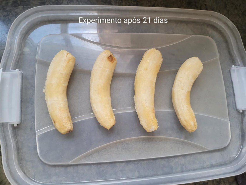Bananas após 21 dias do experimento — Foto: Arquivo pessoal