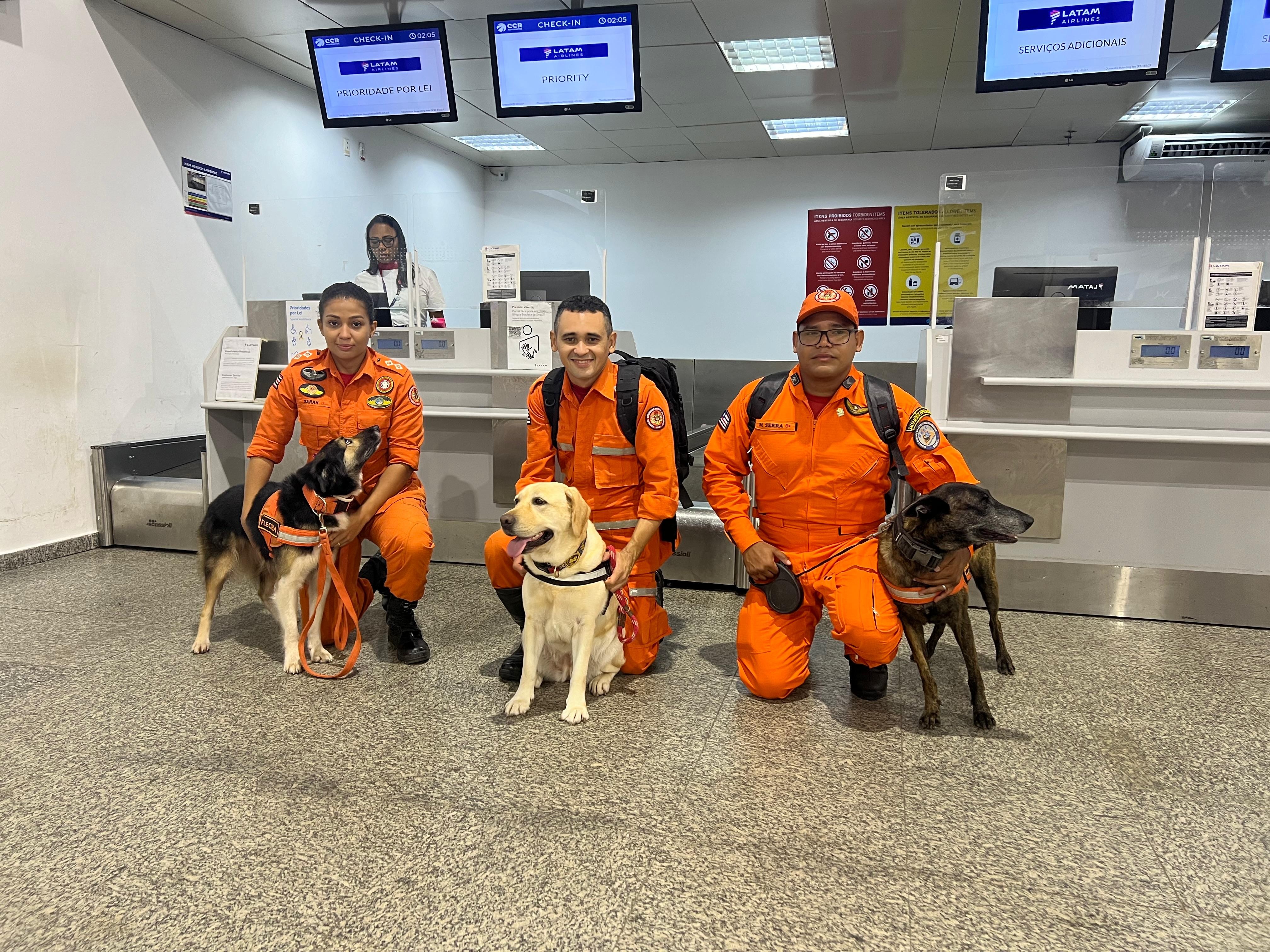 Maranhão envia cadelas de resgate para missão humanitária no Rio Grande do Sul