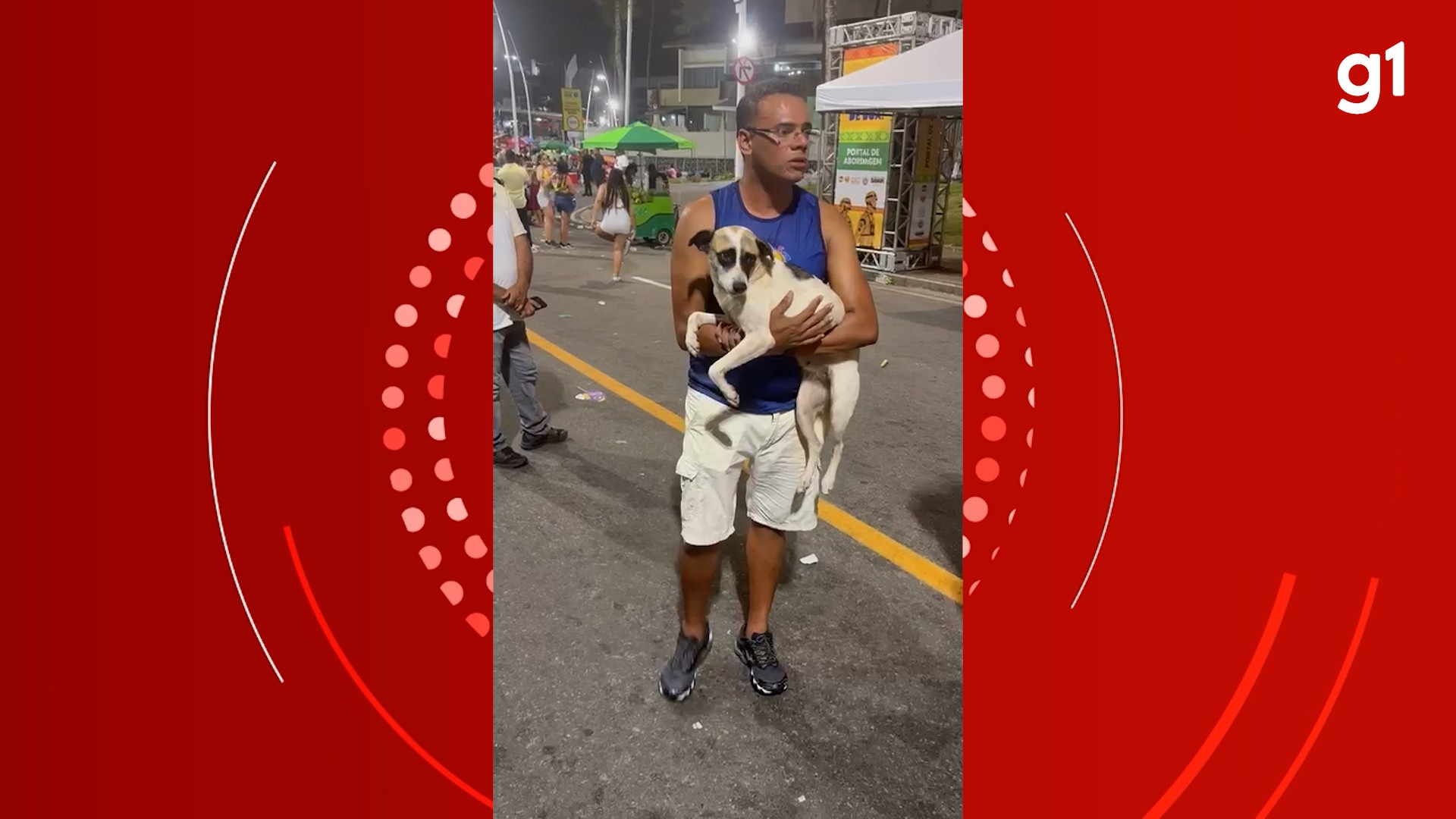 Empresário adota cão após resgatá-lo em circuito do carnaval de Salvador e coloca nome de 'Perna Bamba'