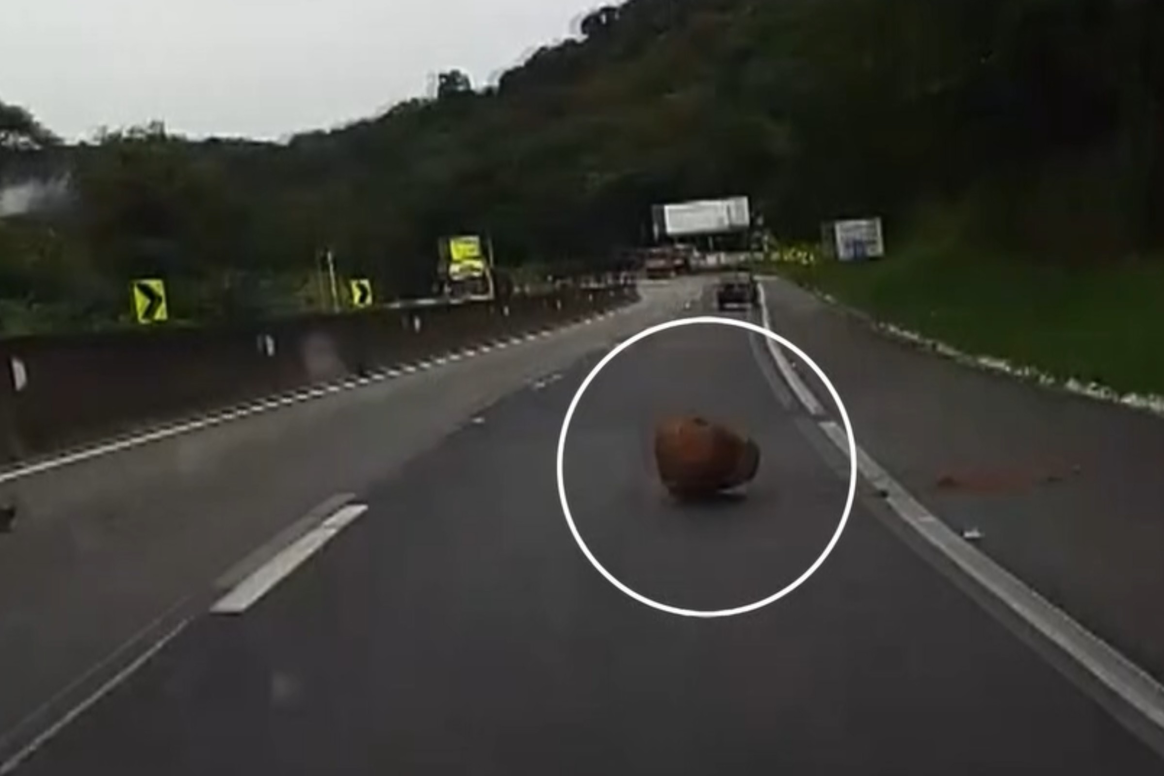 VÍDEO: motorista consegue desviar por pouco de pedra que deslizou de barranco em rodovia no litoral do Paraná