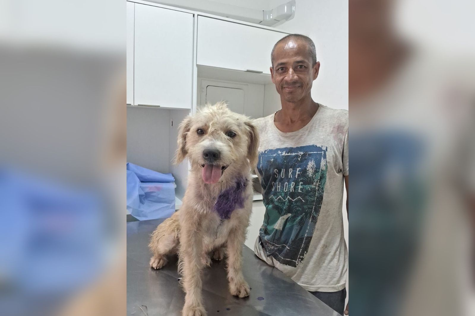 Após homem em situação de rua pedir ajuda em bilhete, cão com 'bicheira' no pescoço recebe atendimento e se recupera no interior de SP